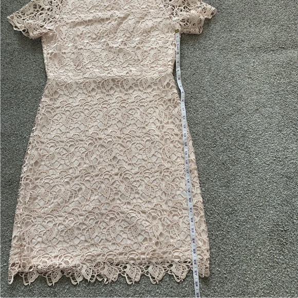 Coast Lace Shift Mini Dress Size 16 Short Sleeve Blush Pink Back Zip - Picture 9 of 12